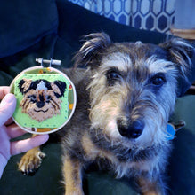 Embroidery Hoop Art of YOUR PET! Custom Handmade Felt Pet Portrait