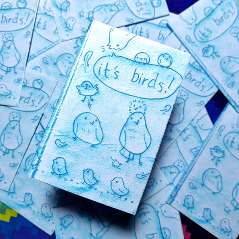 it's birds! - Mini Sketch Zine