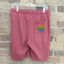 Rainbow Texas & Blubonnet Upcycle - Shorts Red