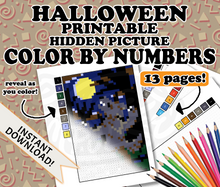 Printable Color by Numbers Digital Download